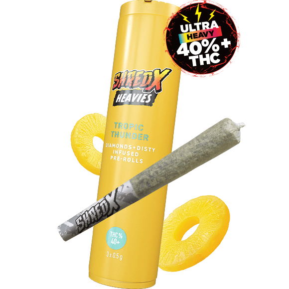 A yellow tube of Shred X Tropic Thunder Heavies.