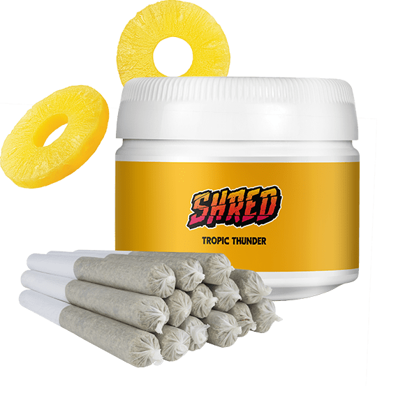 A yellow jar of Shred Tropic Thunder joints.